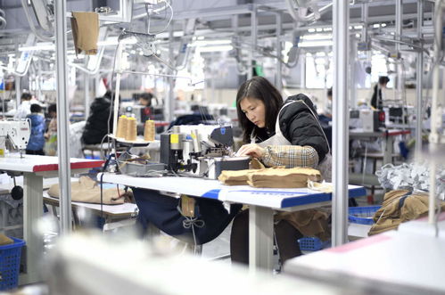 服裝輔料制造業沖刺開門紅，企業生產忙助力經濟穩增長